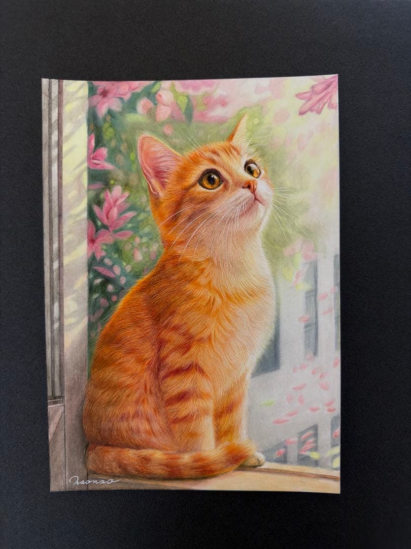 色鉛筆画A4 春を見つめる猫