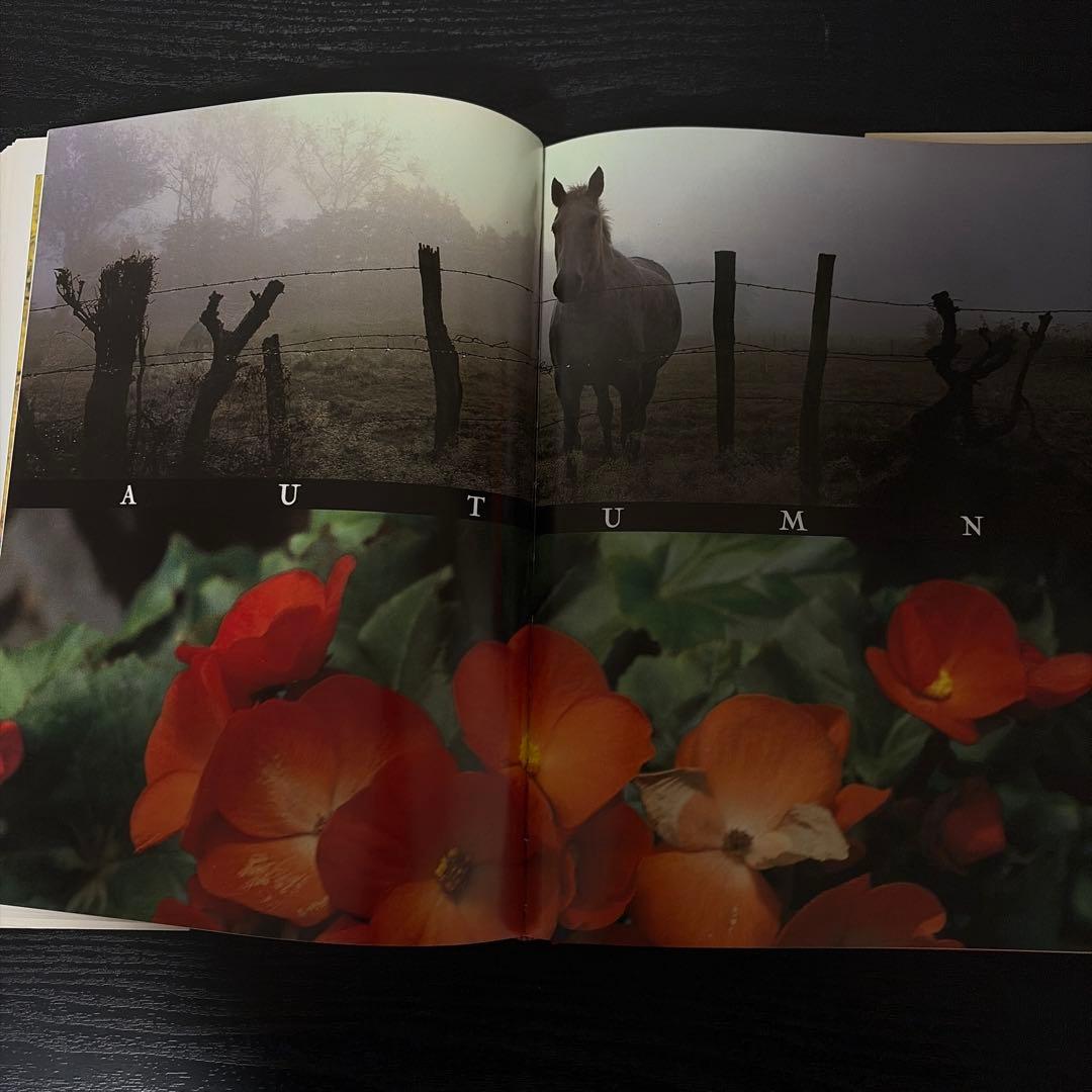 洋書 The Natural Cuisine of es Blanc