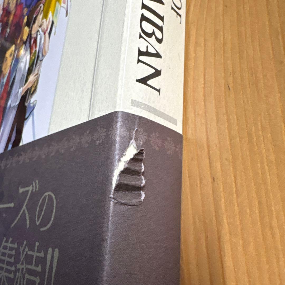 THE ART OF GYAKUTENSABAN 逆転裁判