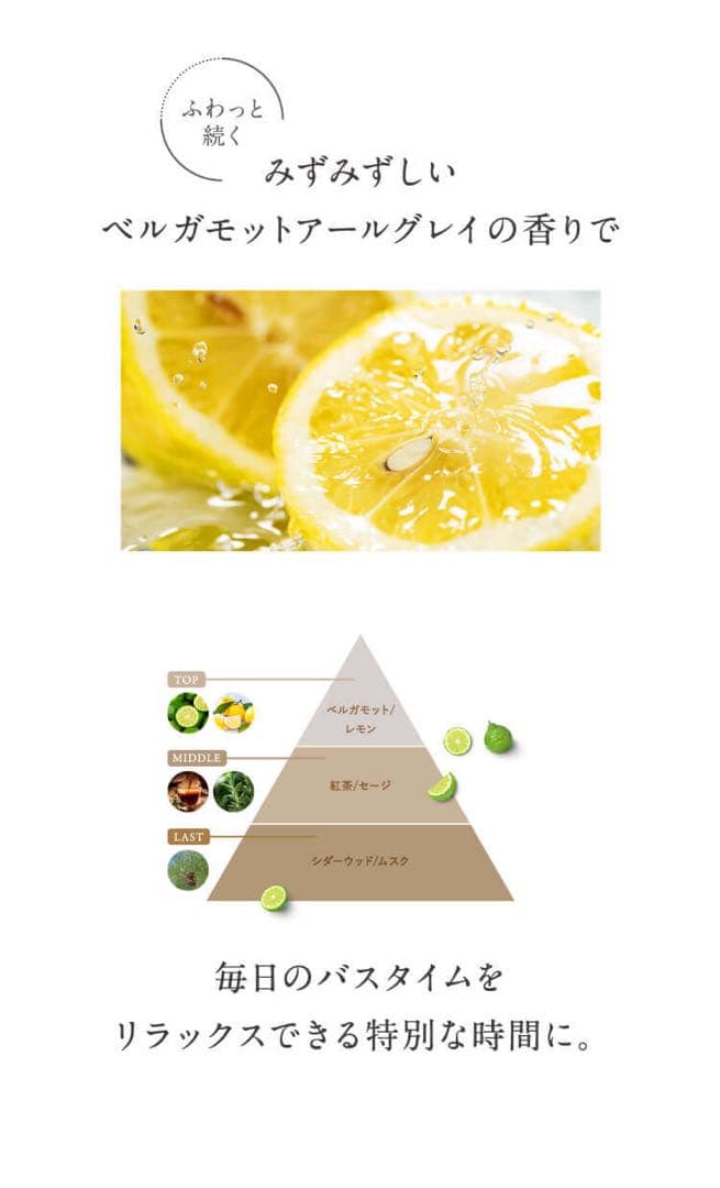 プ*チ様 ココネ　クレイクリームシャンプー　400g×3