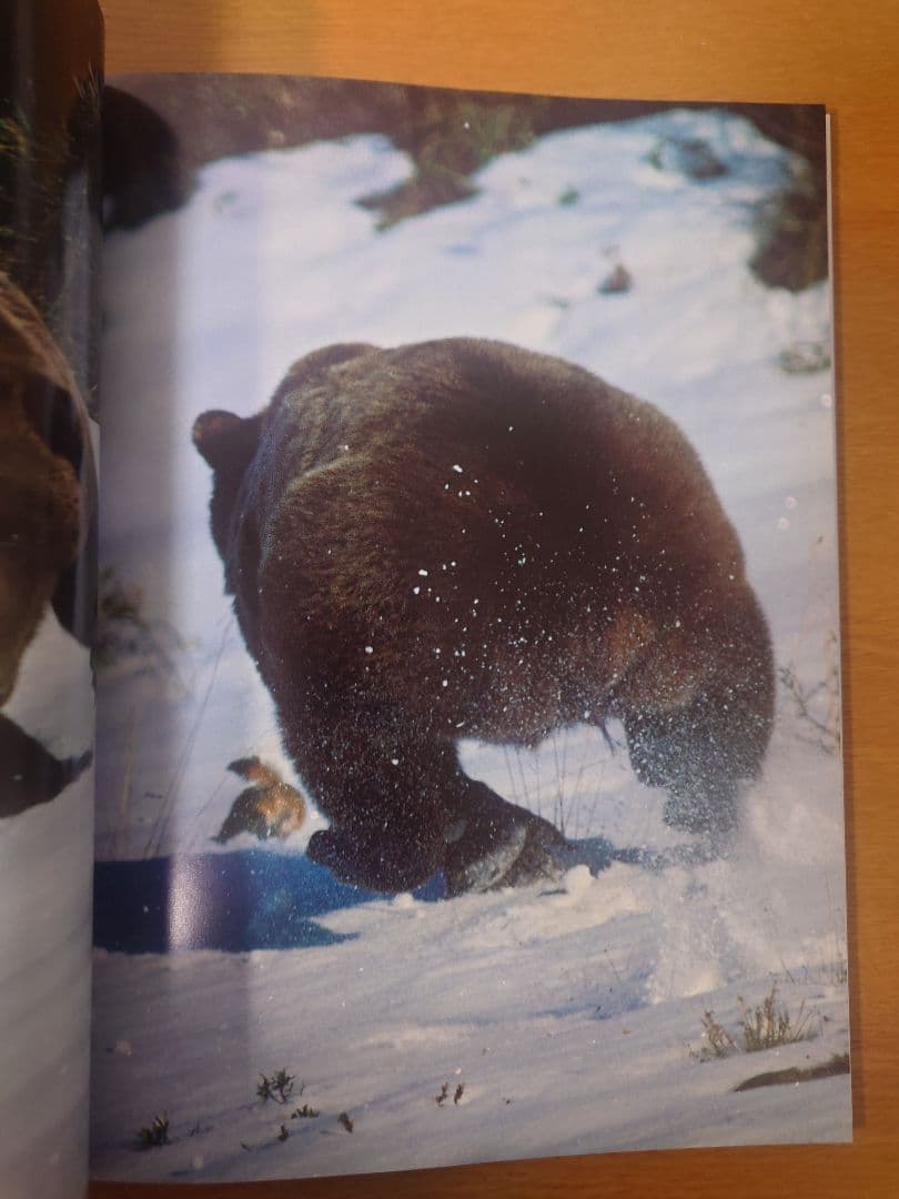 【美品】星野道夫　GRIZZLY & MOOSE 写真集2冊セット