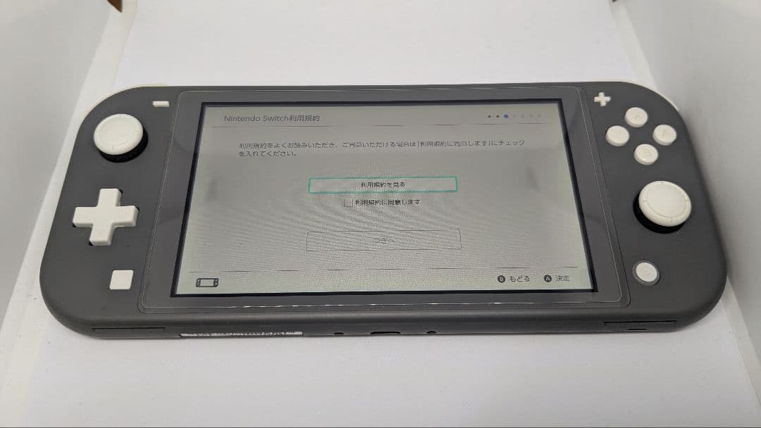 Nintendo Switch Lite グレー Minecraft付き