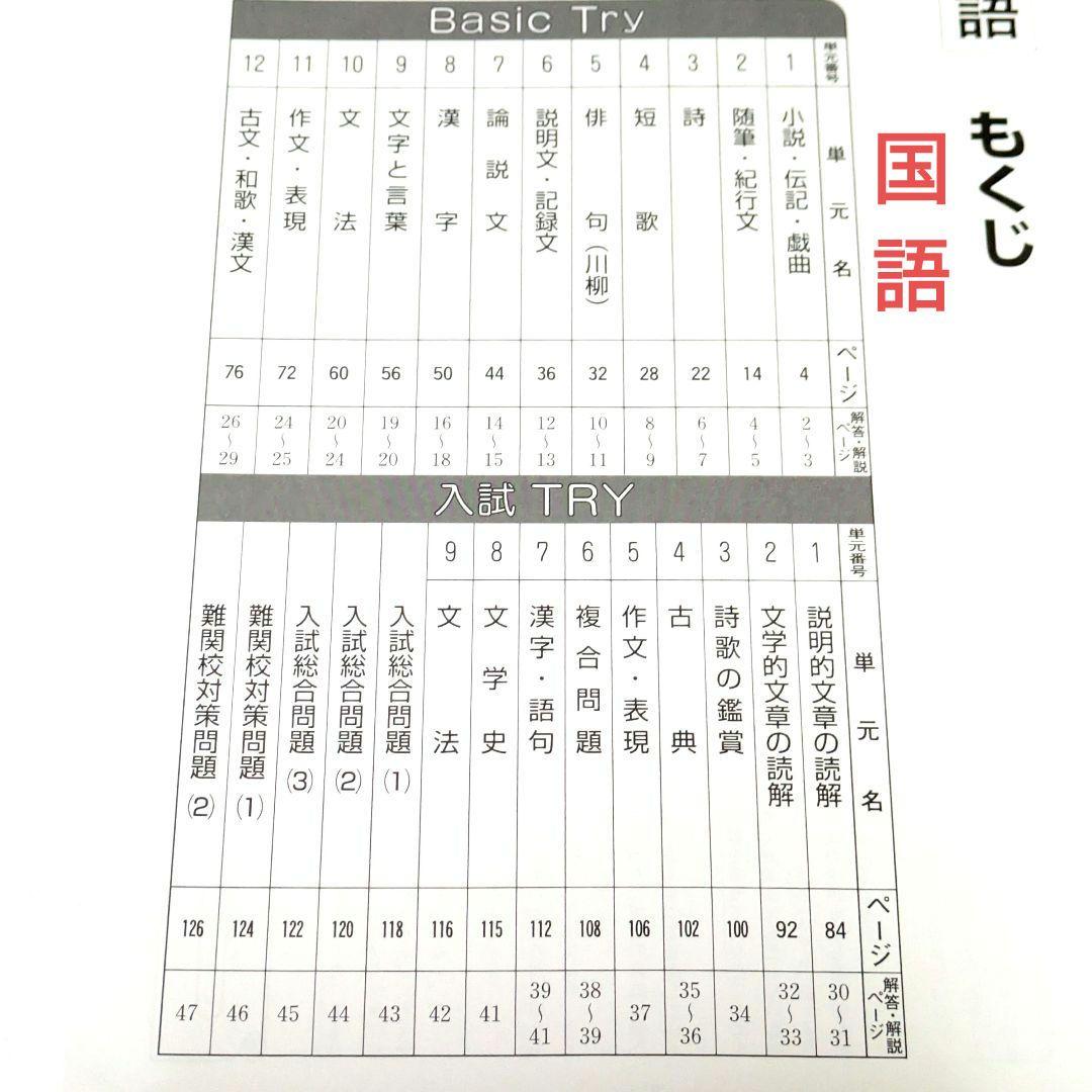 高校入試対策プログラムベスナビ 実戦力完成コース ドリル 自宅学習