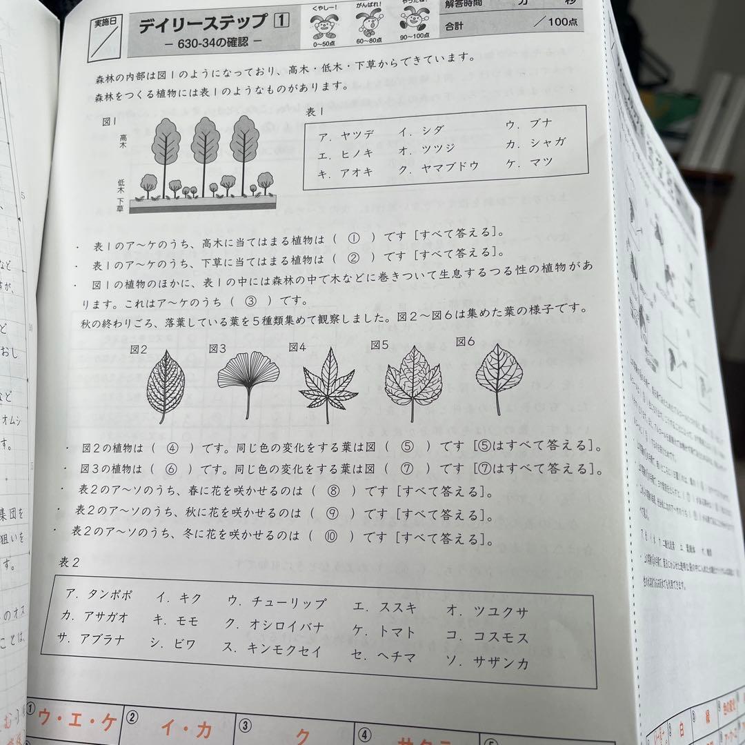サピックス６年理科　通常授業　2024年入試用
