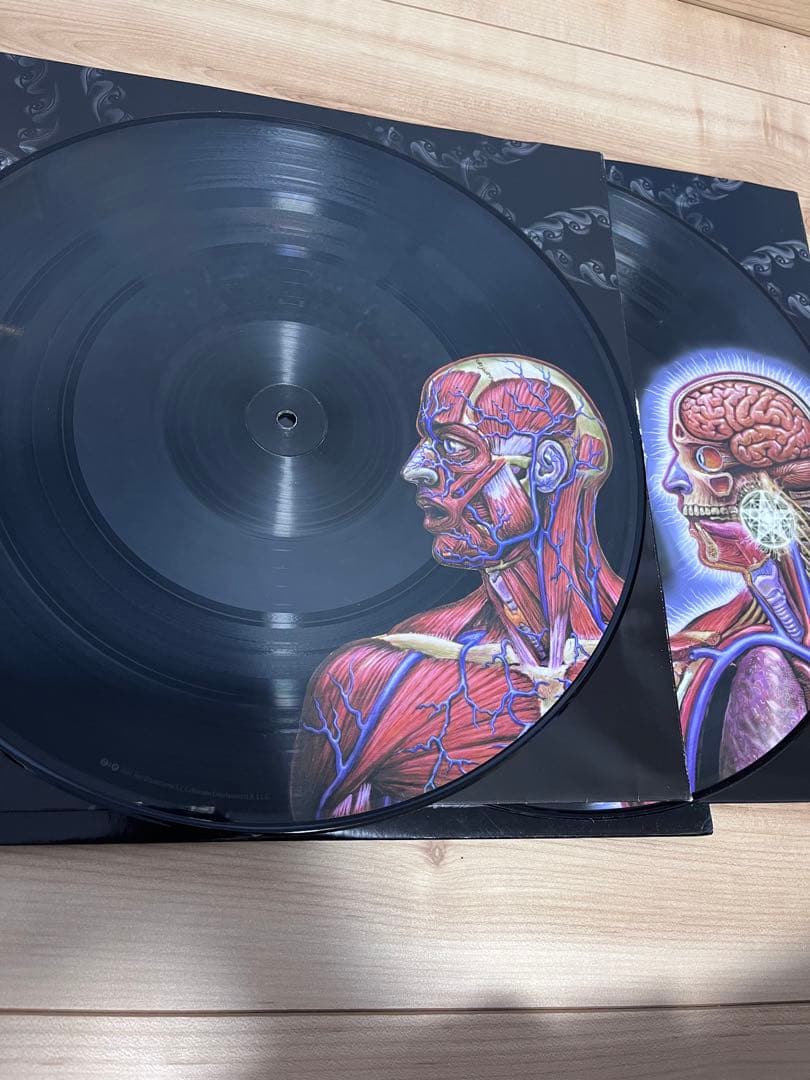 Tool『Lateralus』2LP盤 レコード