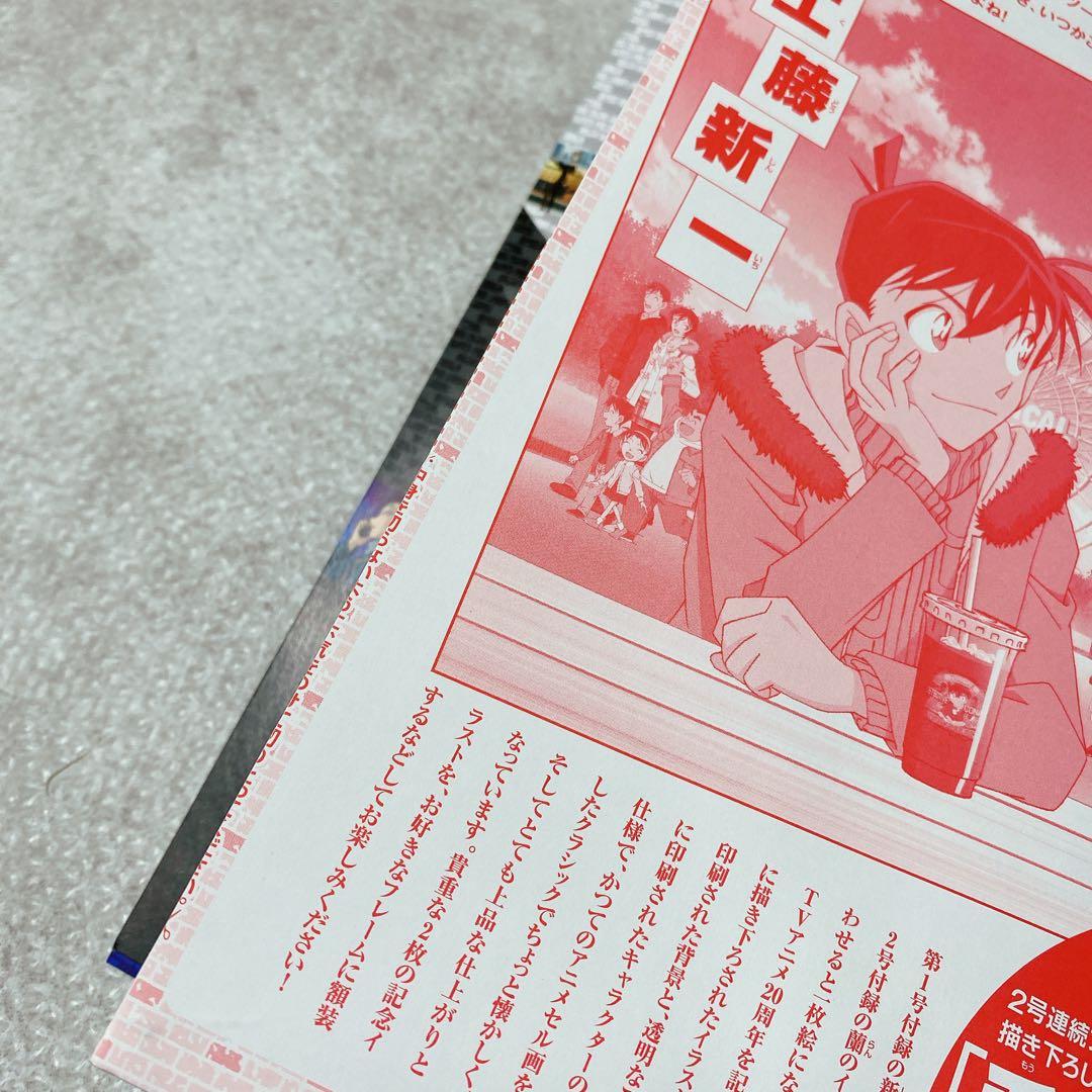 付録付き！名探偵コナンまとめ売りDVDコレクション特別号　江戸川コナン失踪事件