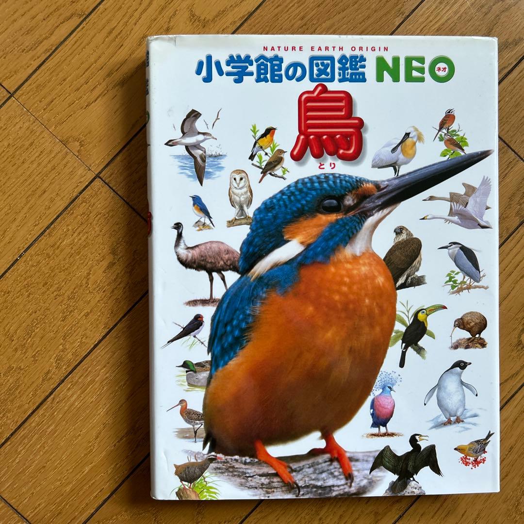 ◾️科学の実験◾️植物図鑑◾️鳥図鑑◾️水の生物図鑑◾️くふうの図鑑◾️せいかつの図鑑◾️6冊
