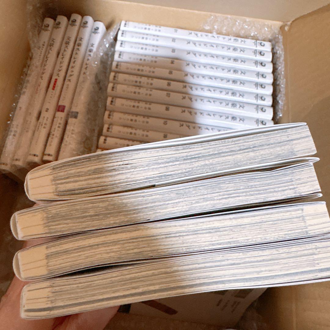 1〜23巻の文豪ストレイドッグスシリーズ (注意:21巻のみ無し)＆別冊付