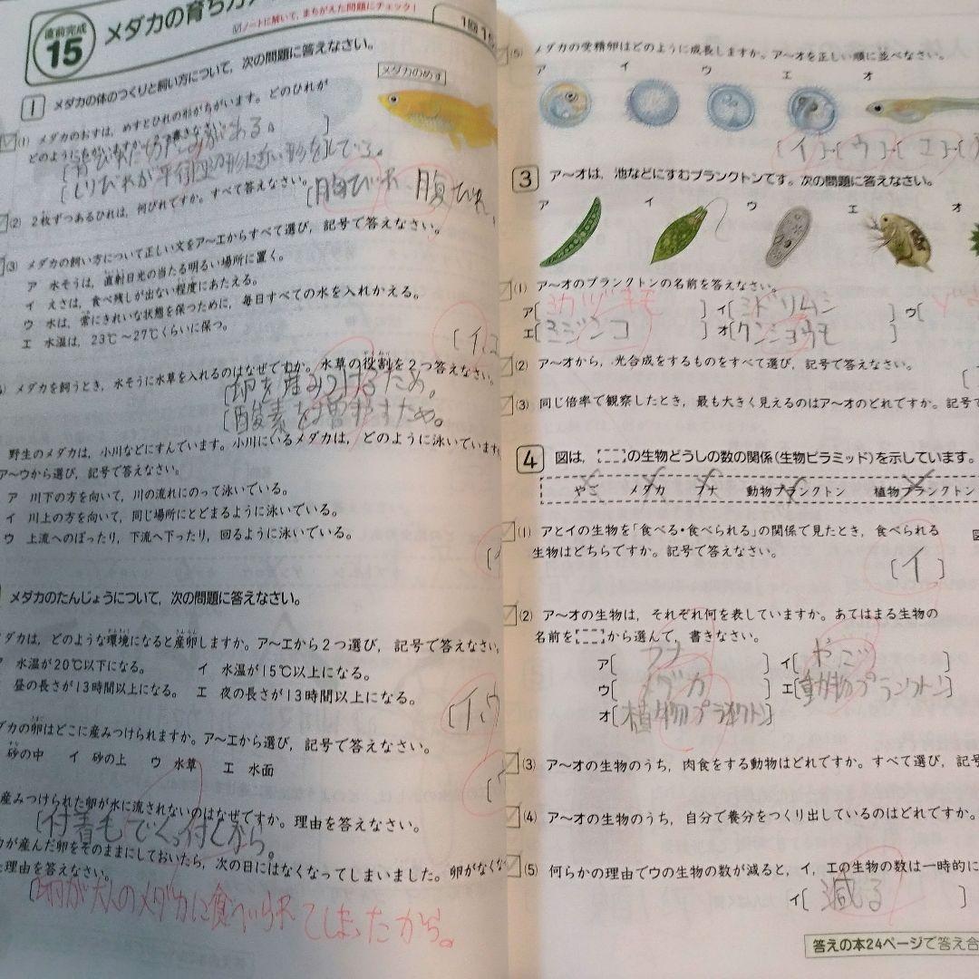 進研ゼミ中学受験講座　問題集・解答セット6年生（1年分）書き込みあり