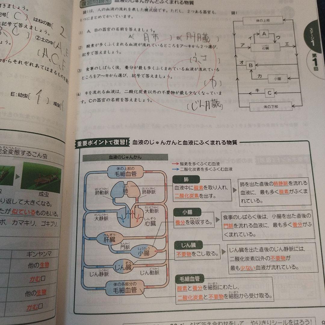 進研ゼミ中学受験講座　問題集・解答セット6年生（1年分）書き込みあり
