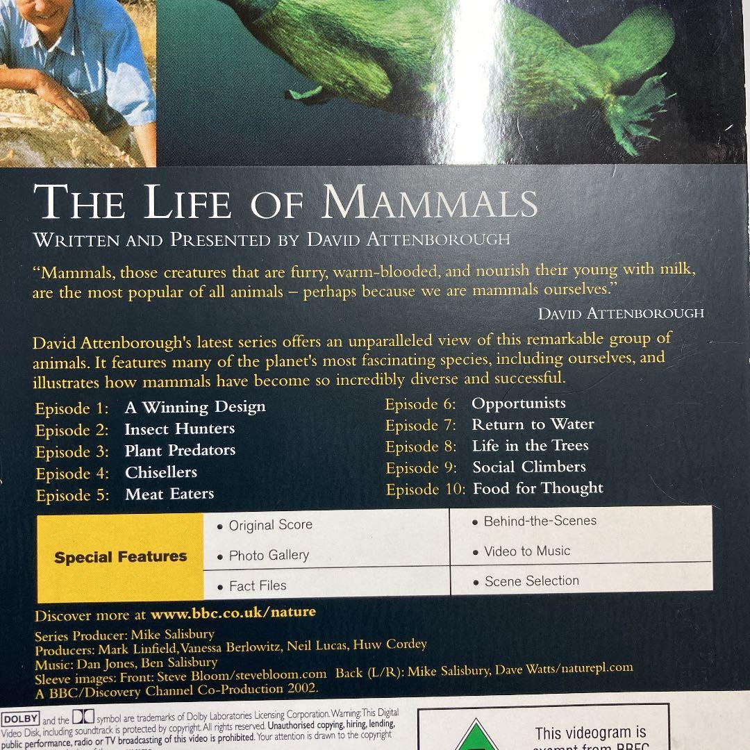 洋画・外国映画 DVD BBC THE LIFE OF MAMMALS