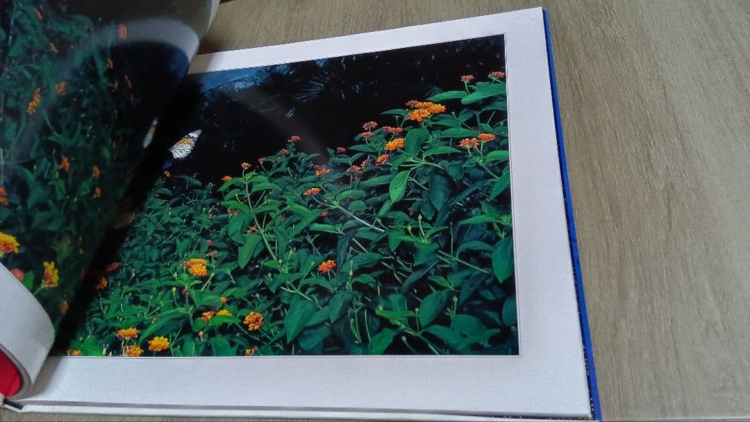 山村雅昭 写真集 花狩