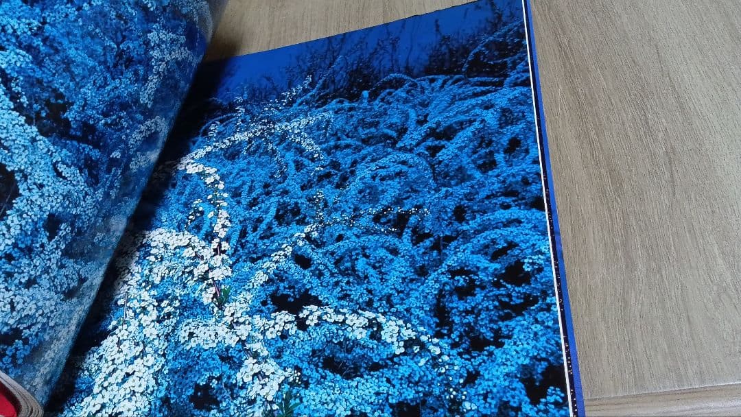 山村雅昭 写真集 花狩