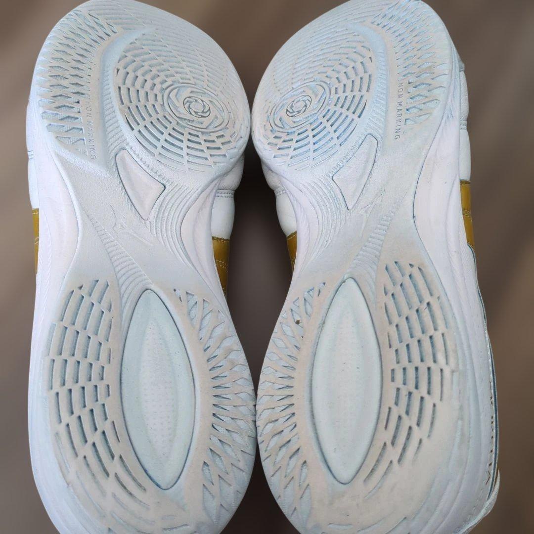 Mizuno Morelia Sala Japanフットサルシューズ