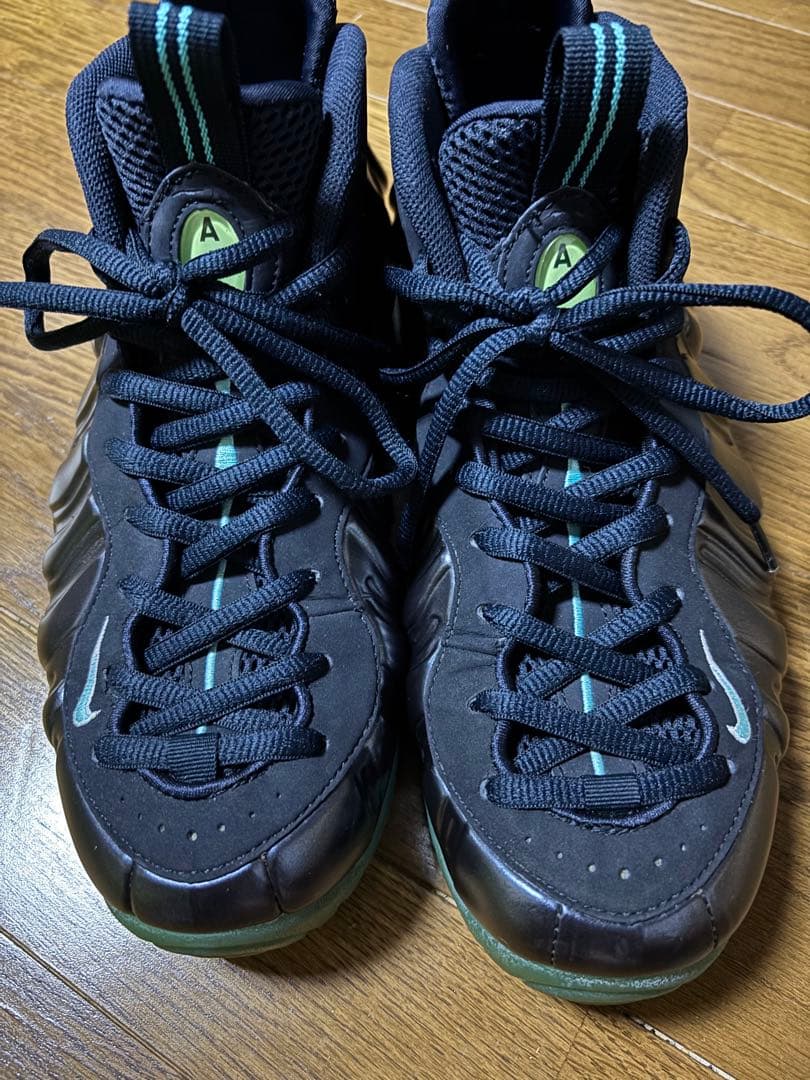NIKE エア フォームポジットPro