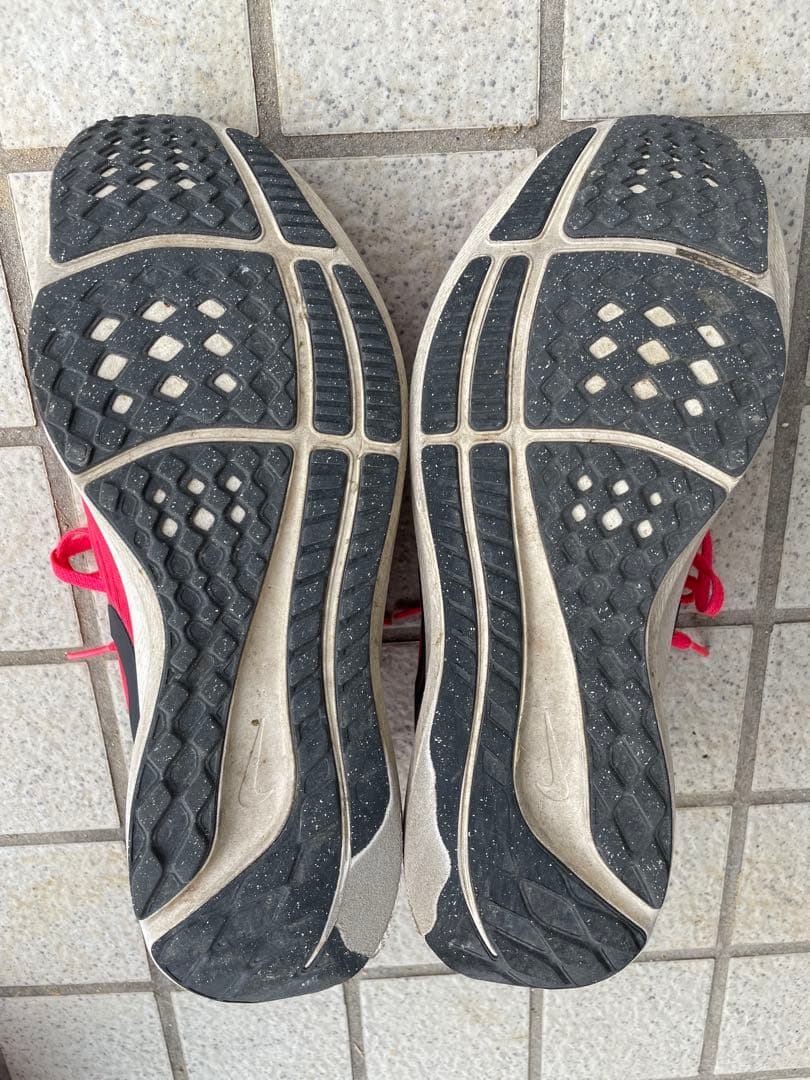 Nike ペガサス40 28.5cm