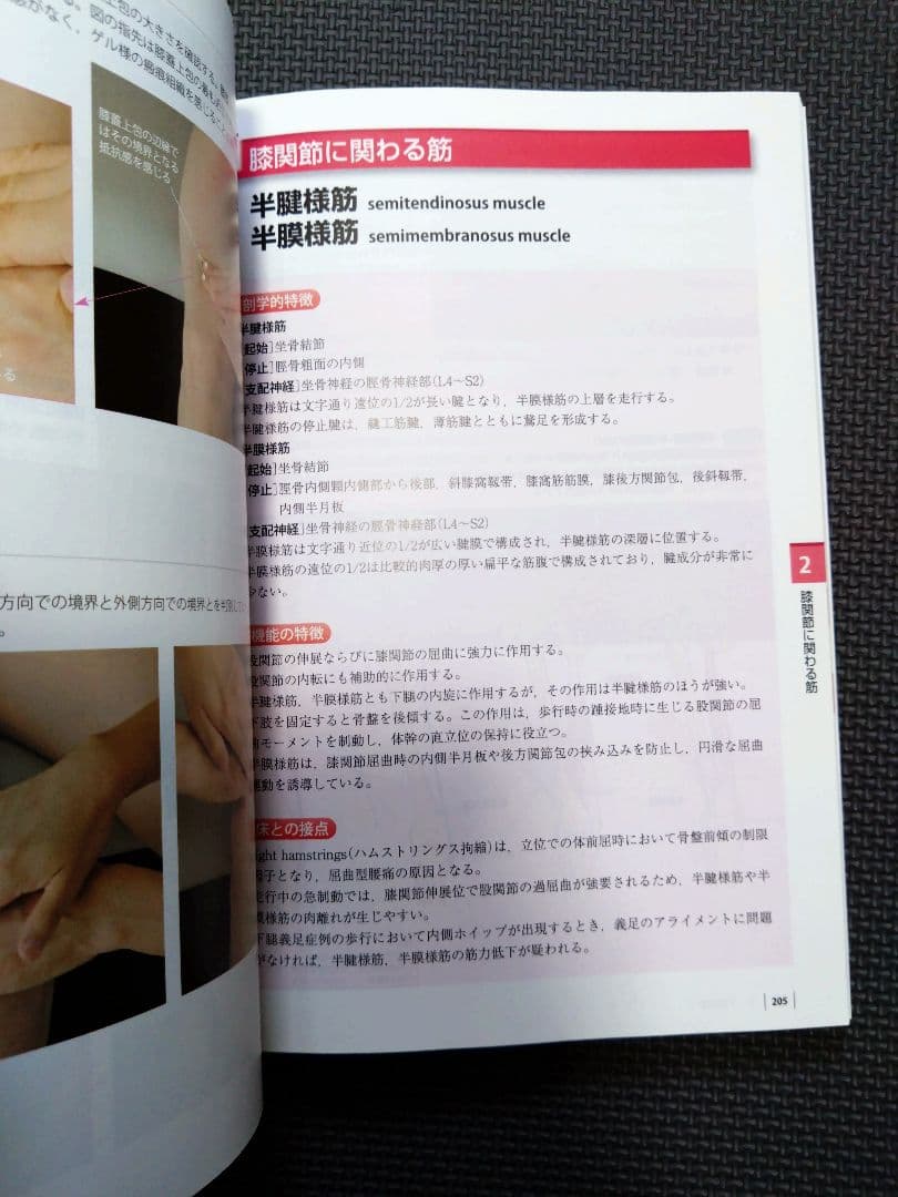 ケアマネ　介護士　看護師　触診技術第2版　フルカラー　理学療法士　作業療法　PT