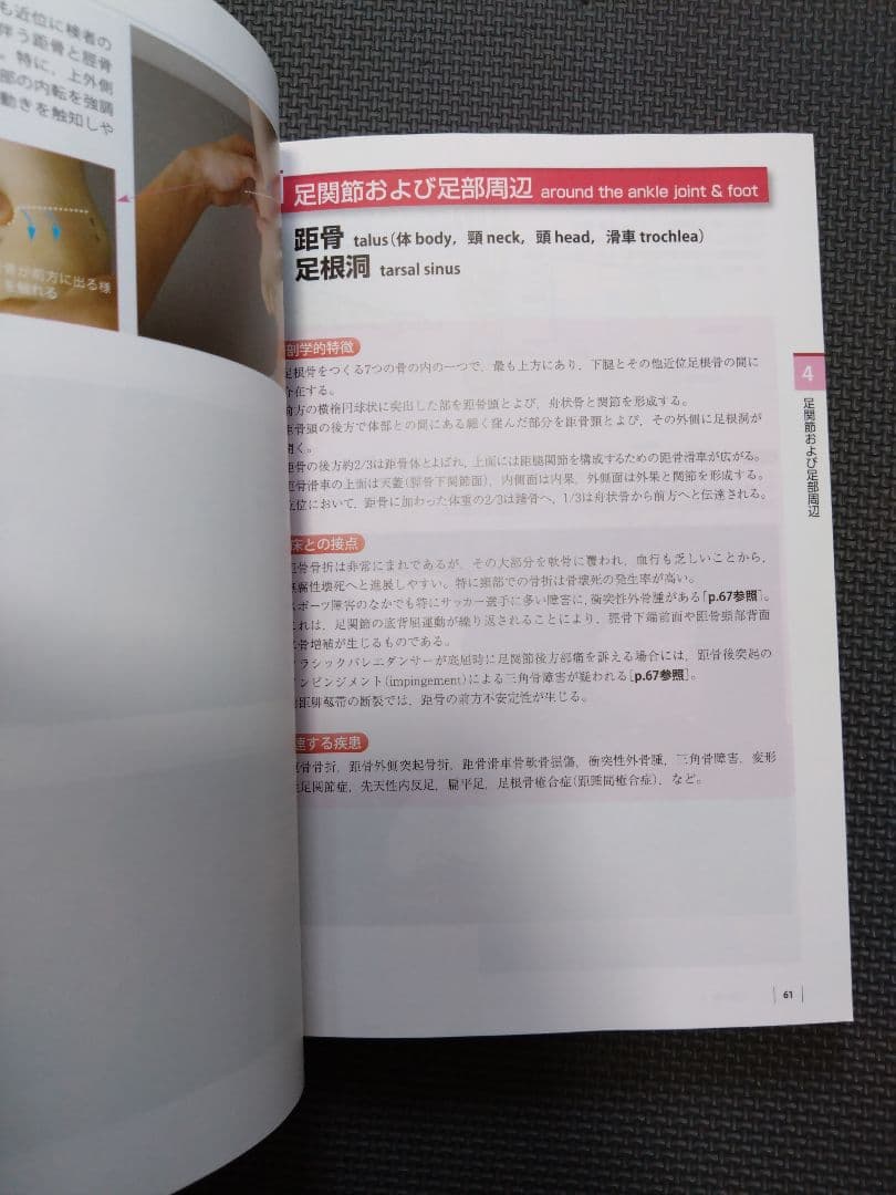 ケアマネ　介護士　看護師　触診技術第2版　フルカラー　理学療法士　作業療法　PT