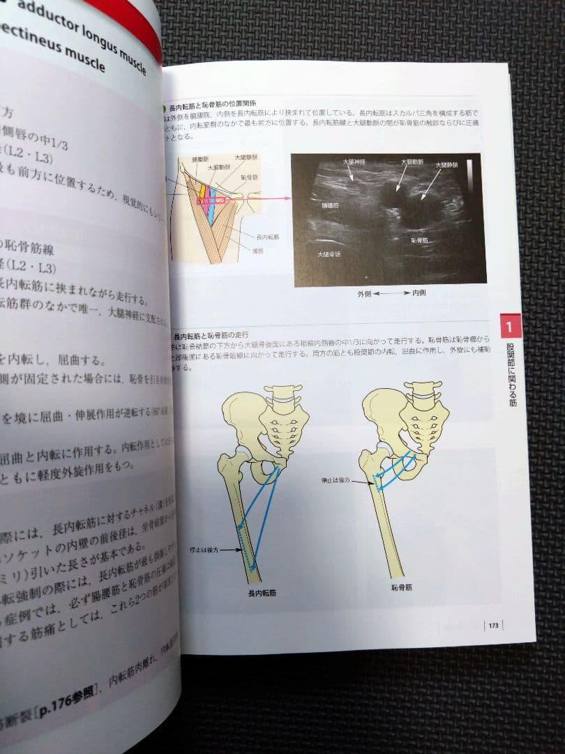 ケアマネ　介護士　看護師　触診技術第2版　フルカラー　理学療法士　作業療法　PT