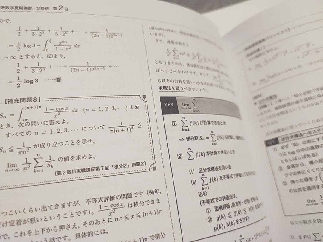 鉄緑会　夏　高３理系数学・分野別　講義冊子フルセット　数Ⅲ　李先生　河合塾　駿台