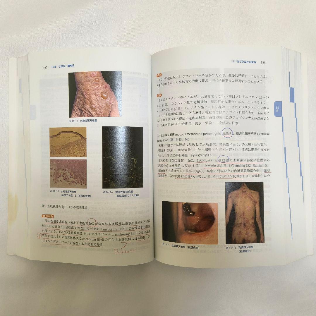 皮膚科学 第11版 金芳堂