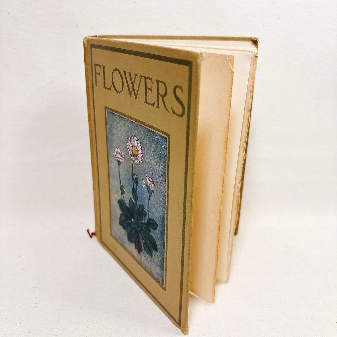 海外 ヴィンテージ 洋書 FLOWERS 草花の図鑑 イギリス
