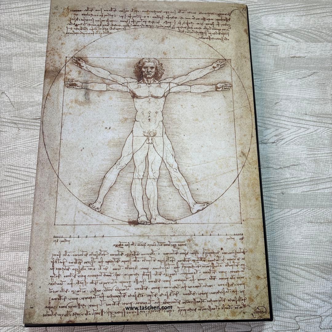レオナルド・ダ・ヴィンチ : 1452-1519年 : 全絵画作品・素描集