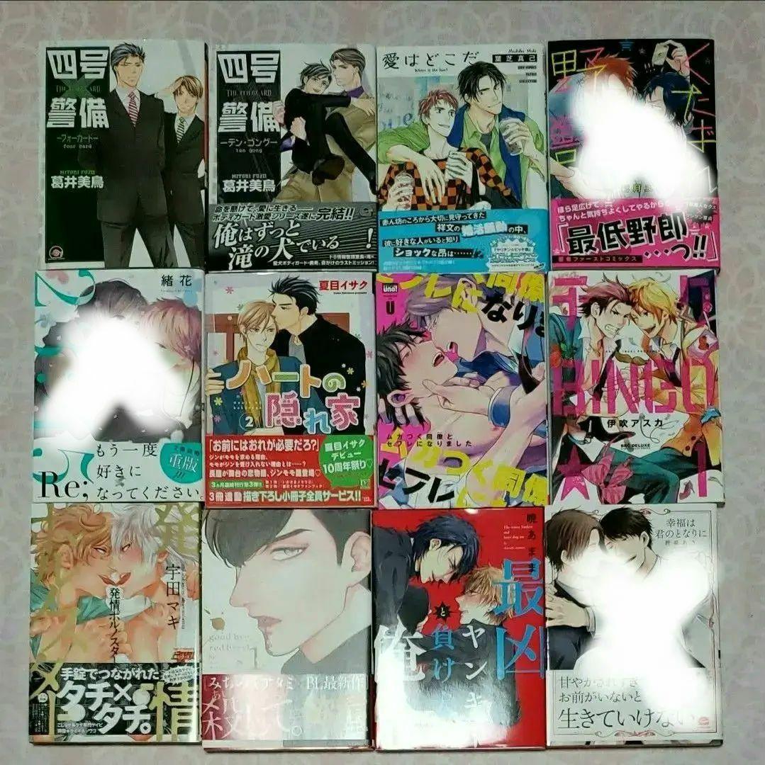 BLコミック まとめ売り バラ売り可 漫画 ボーイズラブ　⑮