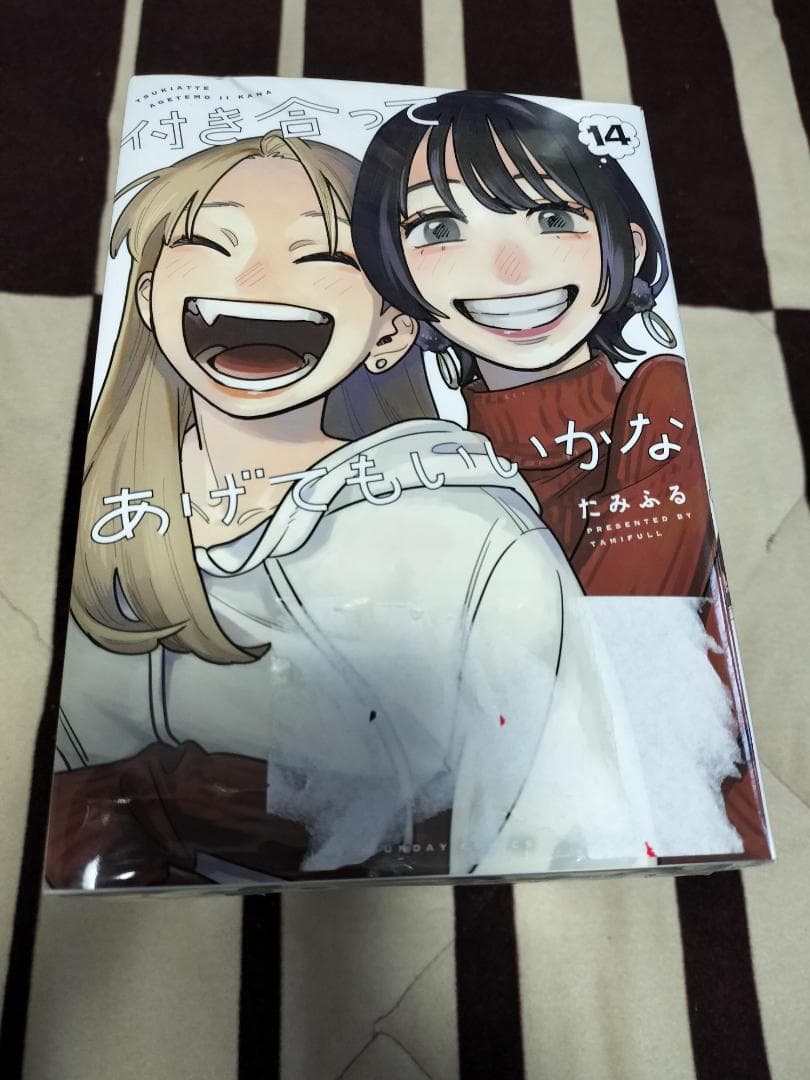付き合ってあげてもいいかな 全巻 セット 全14巻 たみふる