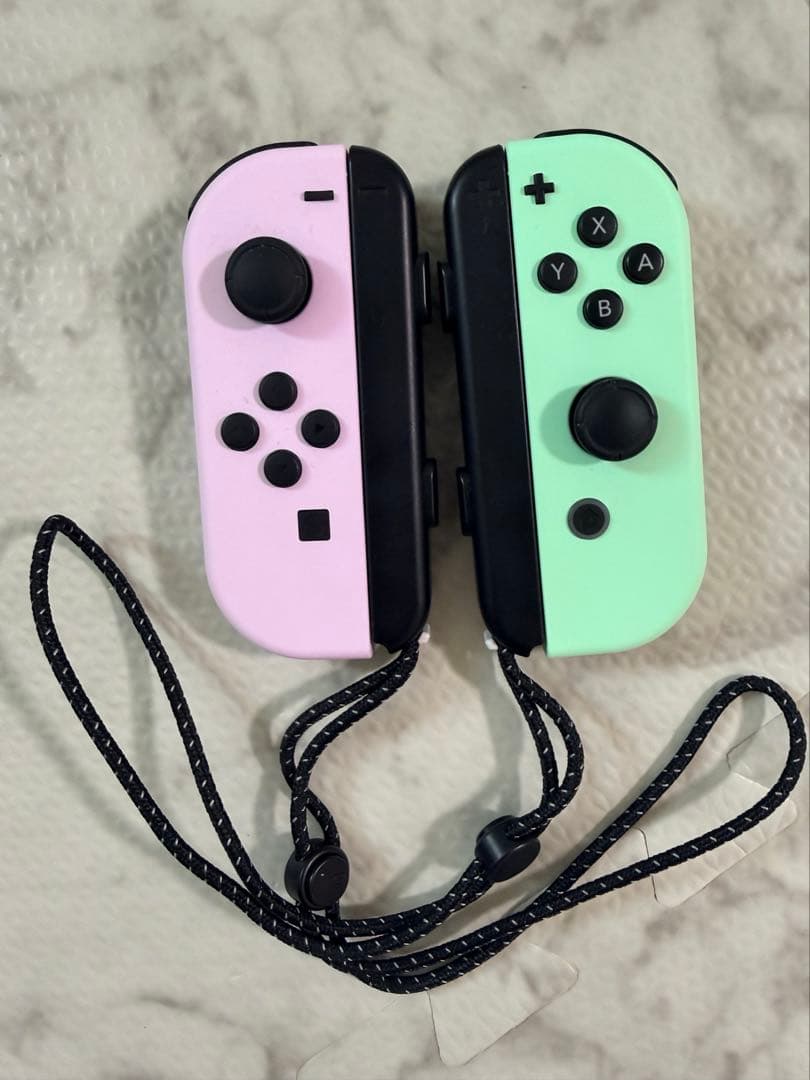 nintendo switch あつまれ どうぶつの森エディション+α