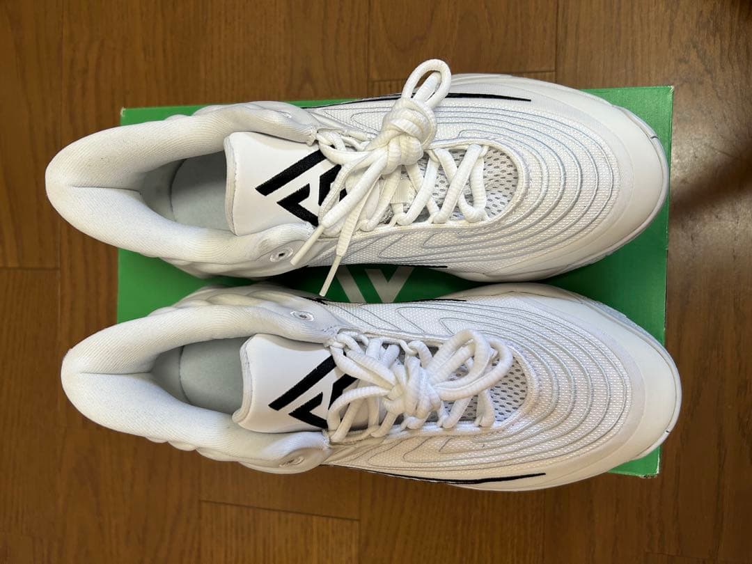 NIKE ヤニスイモータリティ4 25cm