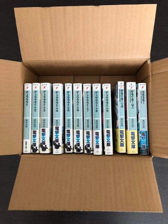 デュラララ!!  小説　まとめ売り