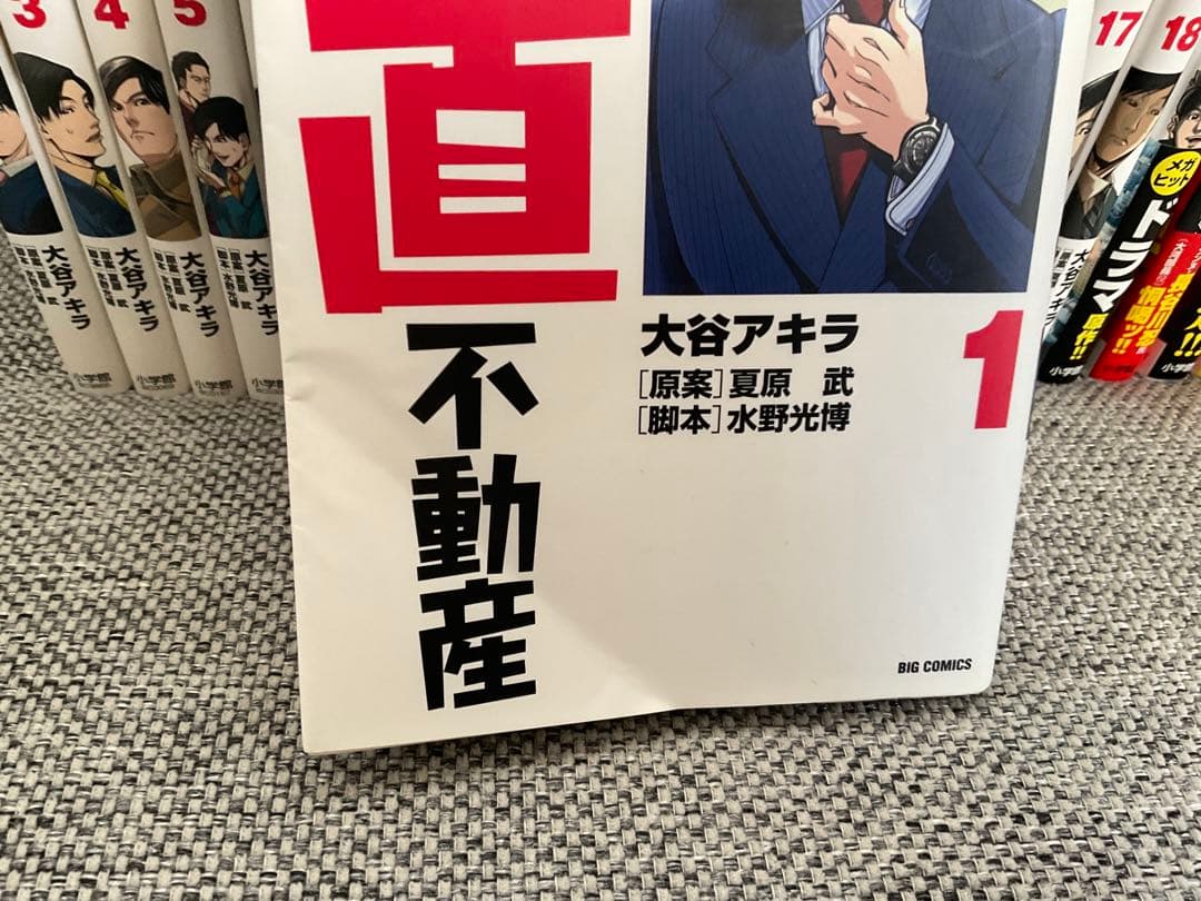 正直不動産 （1-23巻 最新刊）
