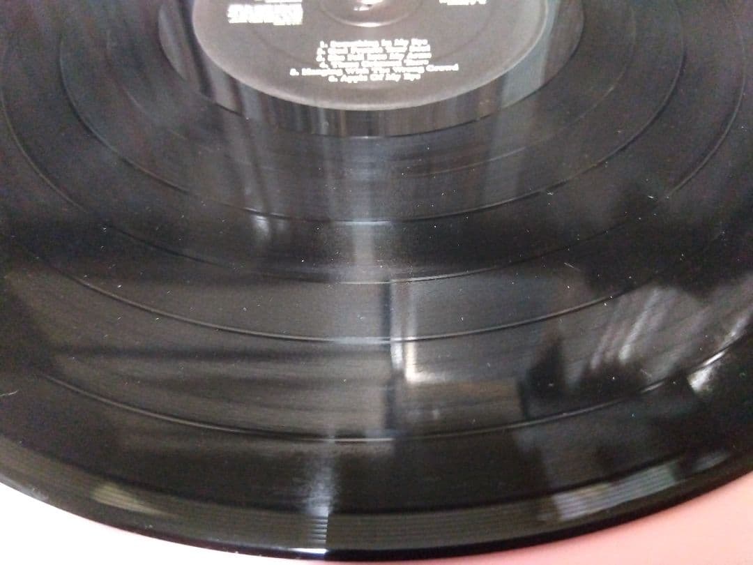 Here Be Monsters エド ハーコート アナログ レコード LP