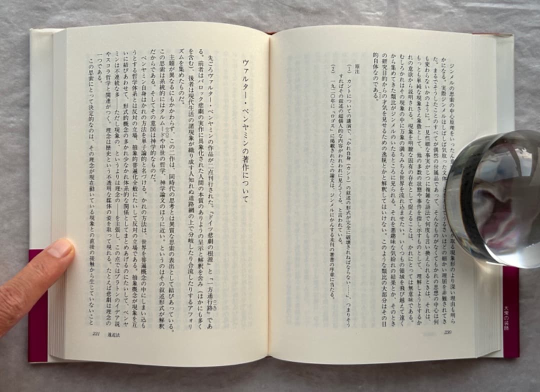 ジークフリート・クラカウアー『大衆の装飾』、法政大学出版局、1996年。