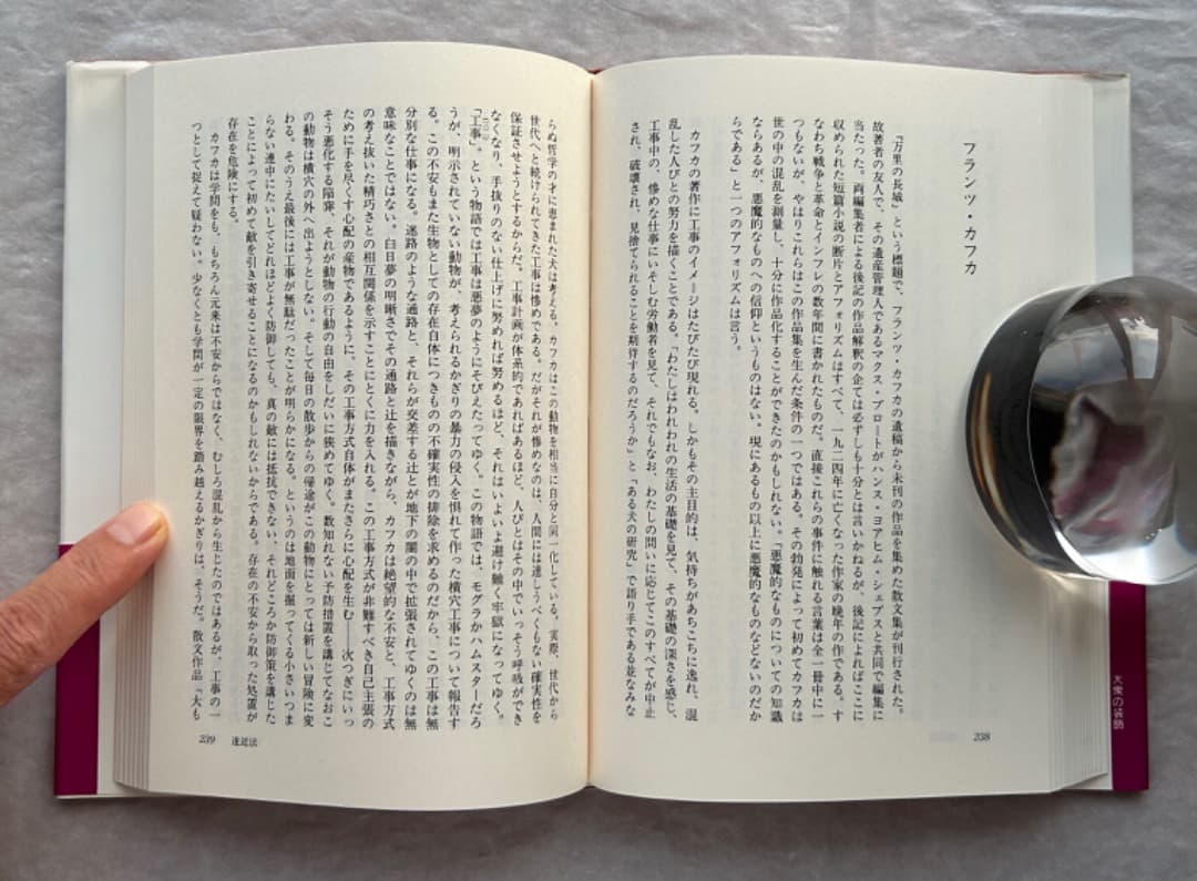 ジークフリート・クラカウアー『大衆の装飾』、法政大学出版局、1996年。