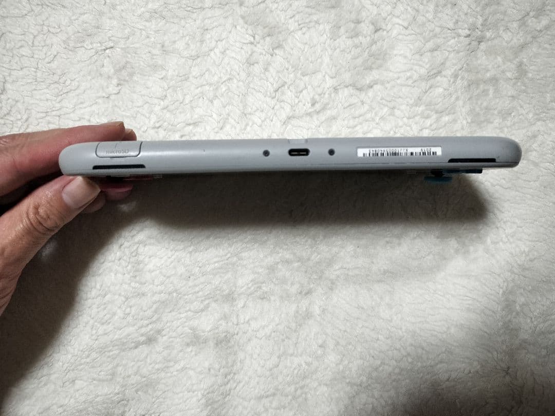 動作品Nintendo Switch Liteザシアン.ザマゼンタ