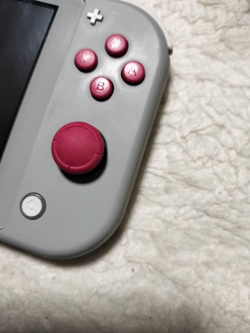 動作品Nintendo Switch Liteザシアン.ザマゼンタ
