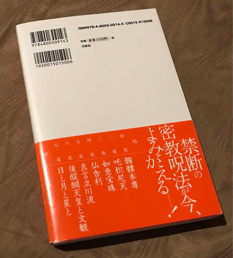 真言立川流の真実 藤巻一保　密教 邪教 如意宝珠 経典 経文