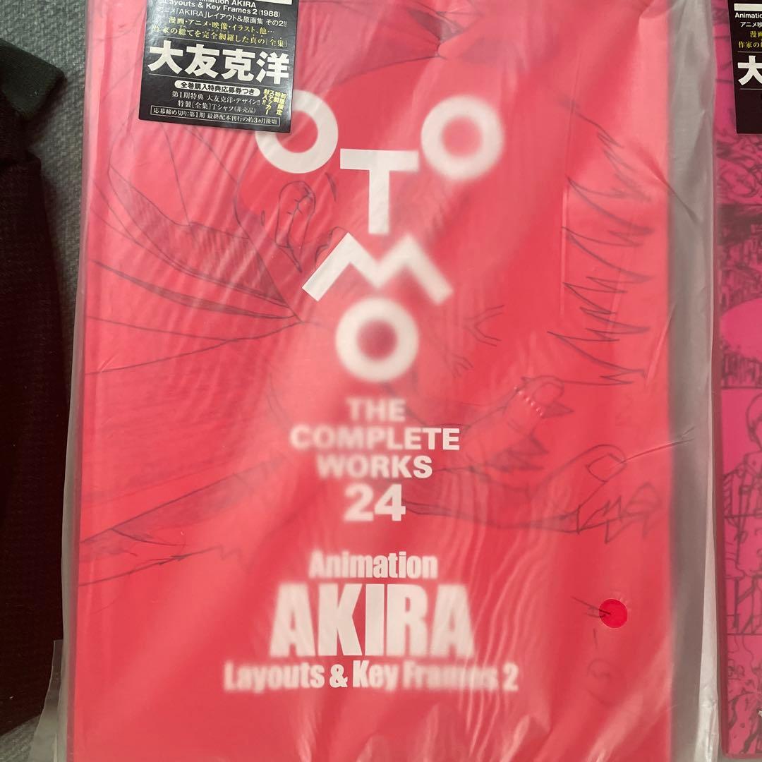 大友克洋大全集　AKIRA21-24