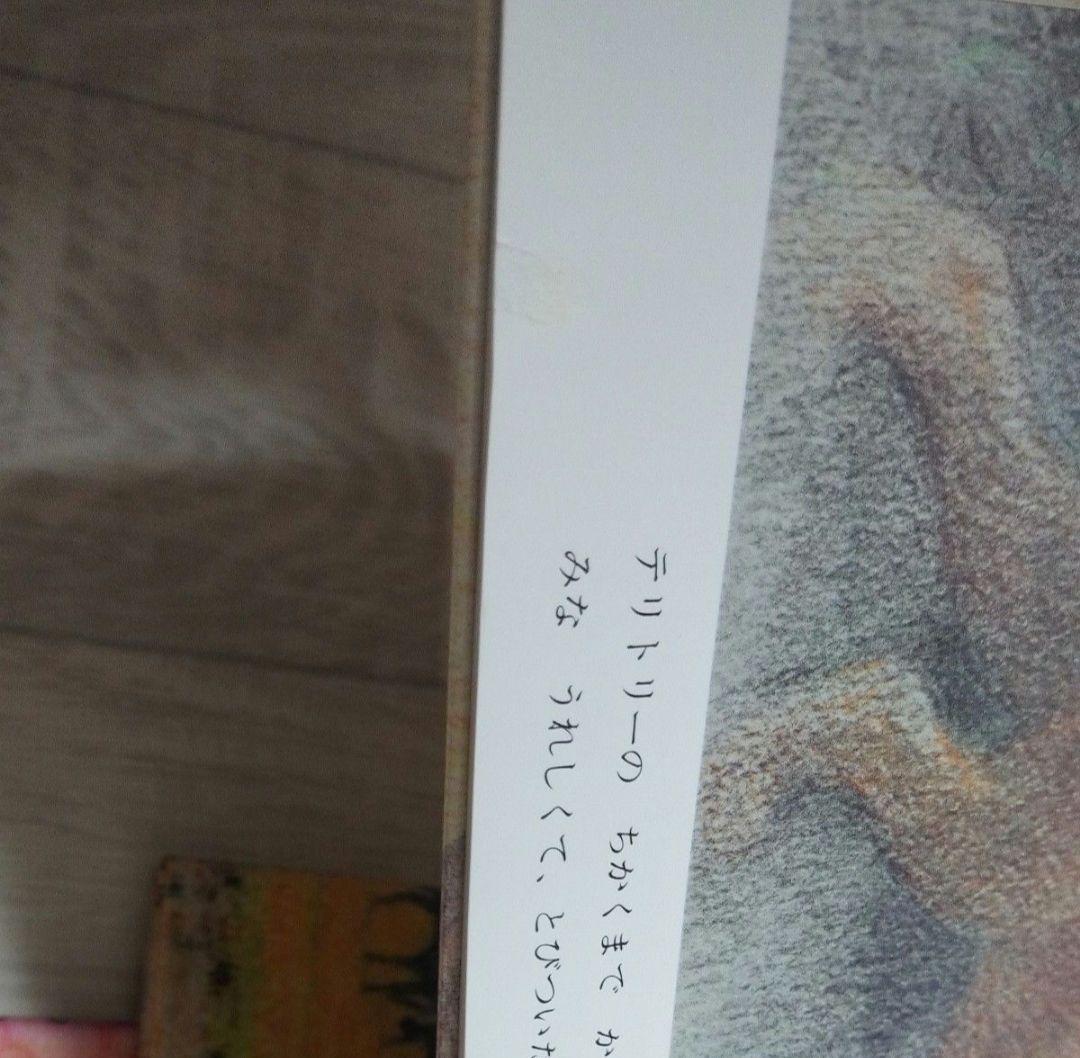 吉田遠志 動物絵本シリーズ アフリカ 全3巻セット 希少