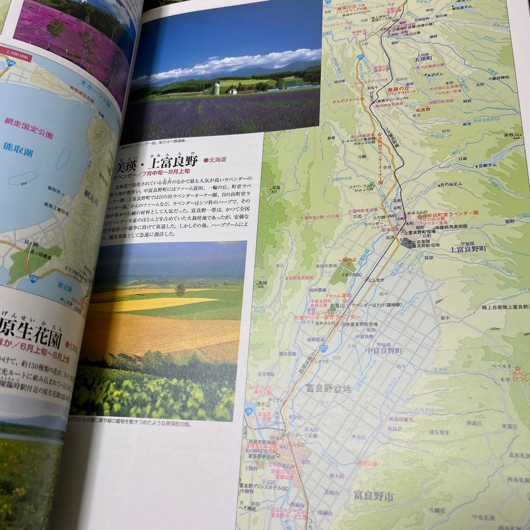 日本大地図　平凡社