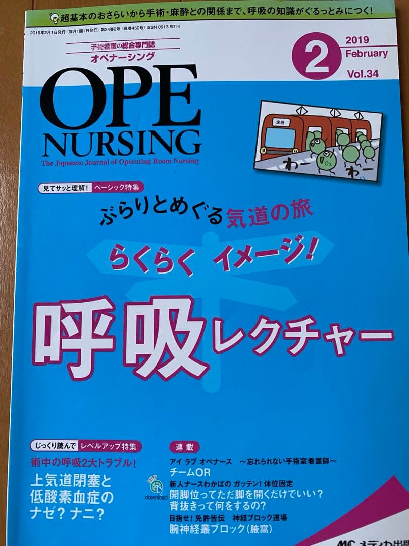 美品　お得　オペナーシング2019年分12冊セット