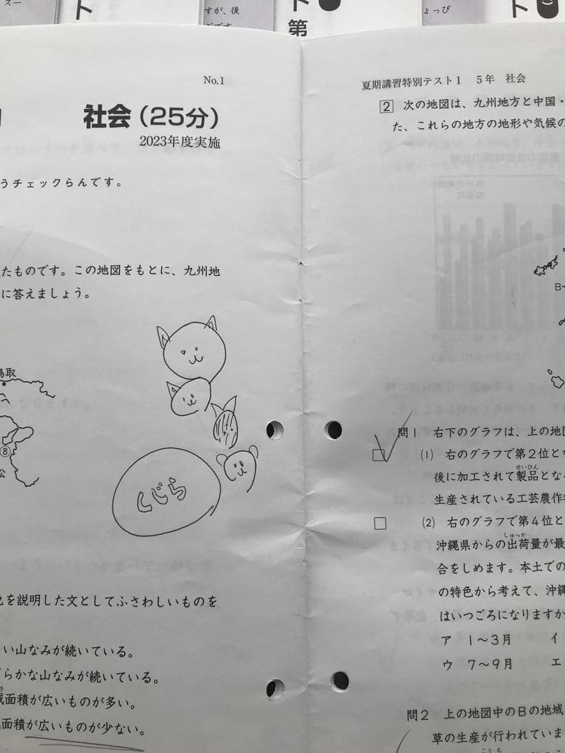 しらたまさん専用　日能研　後期分学習力育成テスト、冬期講習テスト10回分