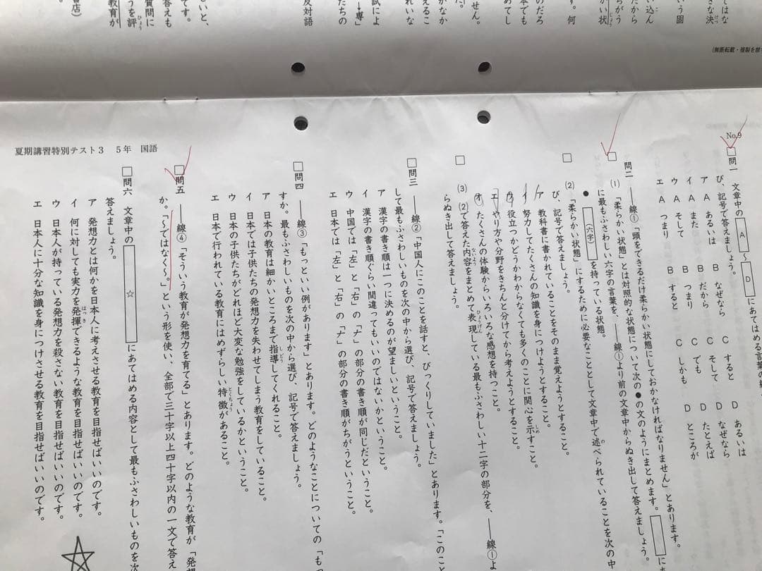 しらたまさん専用　日能研　後期分学習力育成テスト、冬期講習テスト10回分