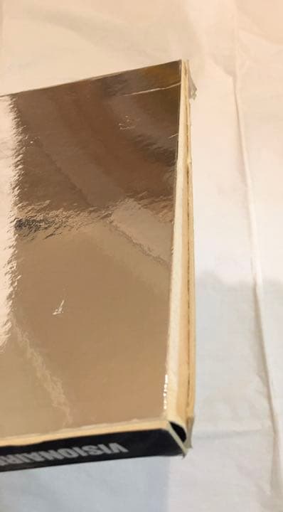 限定品 Visionaire no19 Beauty ヴィジョネア