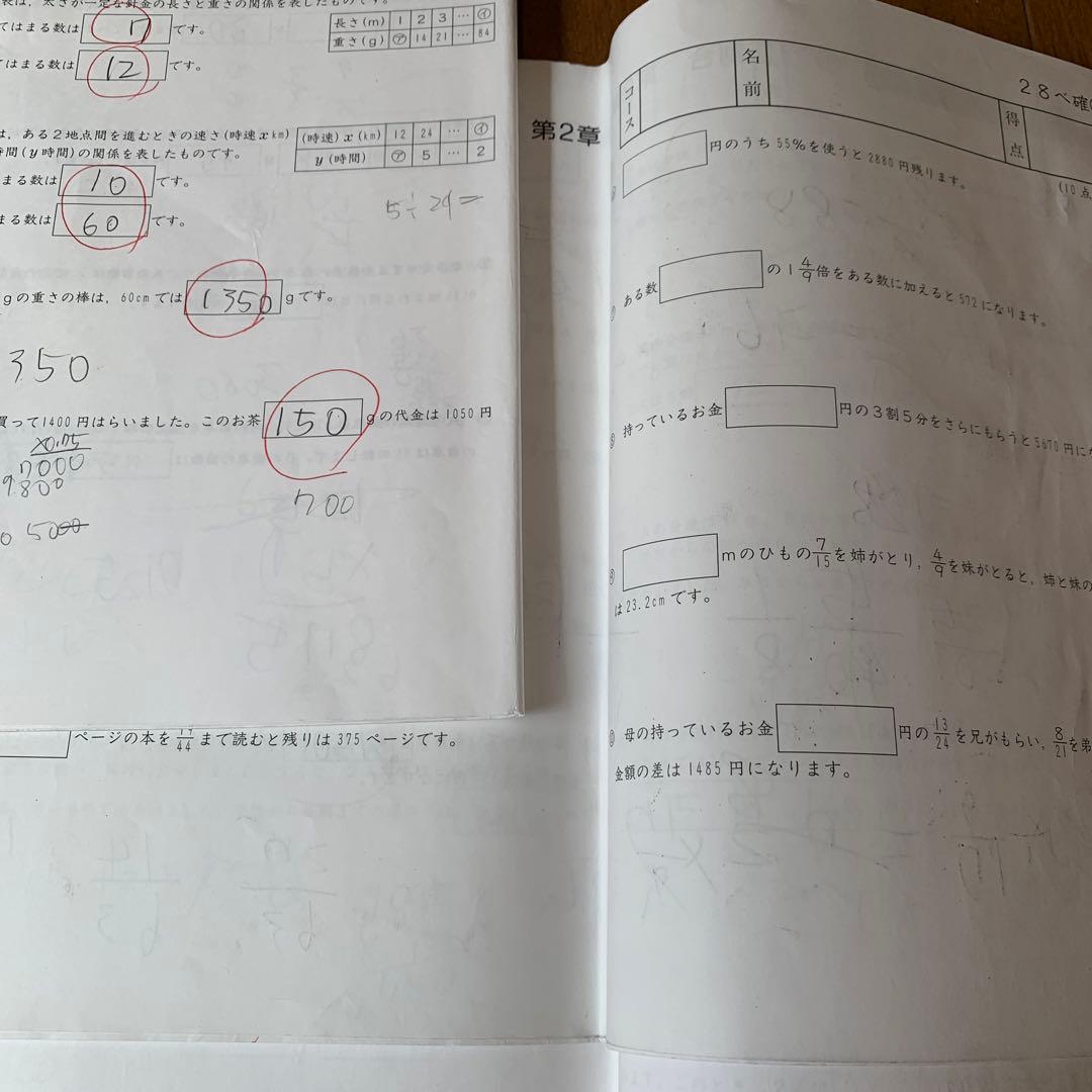 今日までお値下げ！SAPIX 小学5年1年分算数デイリーサポートサピックス74冊