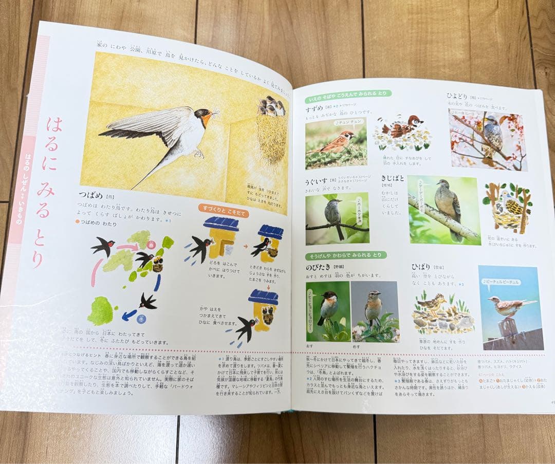 プレNEO 図鑑セット 4冊　参考書