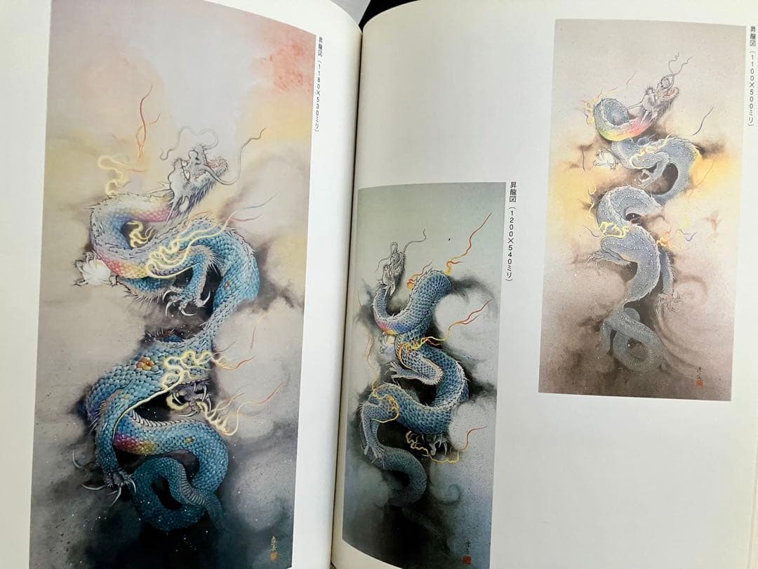 龍画の世界　五色龍王と龍頭観音を描く【著者 】江本象岳エモトショウガク日貿出版社