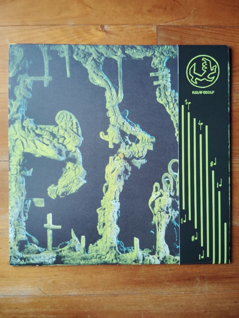 King Gizzard & The Lizard Wizard 2枚 LP